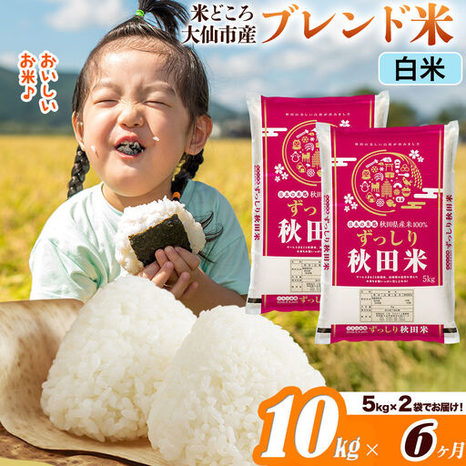 米《定期便6ヶ月》米どころ 秋田県大仙市産 ブレンド米【白米】10kg（5kg×2袋）