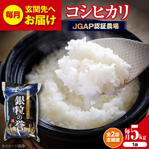 【全2回定期便】こしひかり 5kg 【令和7年産米】 [APDC003] コシヒカリ