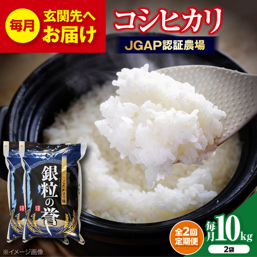 【全2回定期便】こしひかり 10kg  【令和7年産米】 [APDC006] コシヒカリ