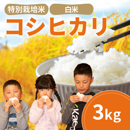 米 こしひかり 白米 3kg 2025年産 特別栽培米
