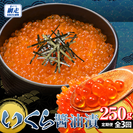 定期便いくら醤油漬(250g) 3回