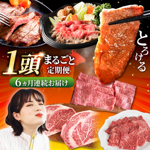 [6回定期便]牛肉1頭まるごと定期便 / 牛肉定期便