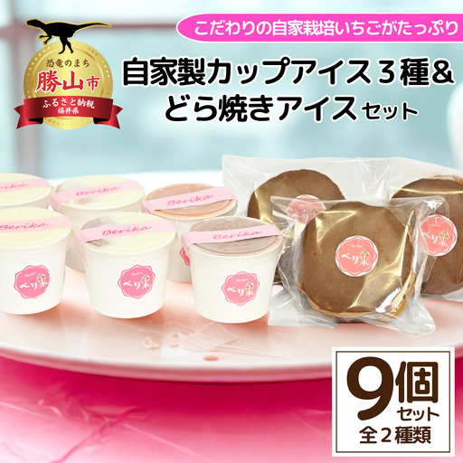 アイスセット 3種+どら焼きアイス 自家製 [B-045002 ]