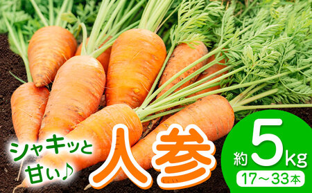 【先行予約】人参 約5kg (17-33本) 日本フルーツ株式会社《4月上旬-6月上旬頃出荷》熊本県 菊池市 にんじん ニンジン 野菜 熊本県産