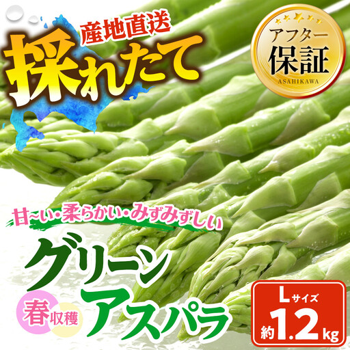 春収穫グリーンアスパラLサイズ（400g×3）約1.2kg（2027年6月上旬から発送開始）| アスパラ 北海道_05534