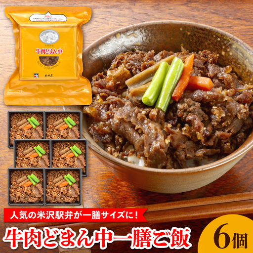 弁当 牛肉どまん中 一膳ご飯 160g×6個 牛丼 弁当