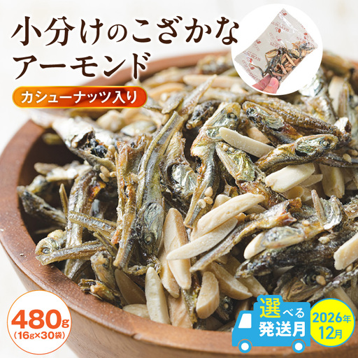 (数量限定)[2026年 年内発送] 手軽に健康習慣 小分けのこざかなアーモンド カシューナッツ入り 480g(16gx30袋) おうち時間 おやつ 大満足 美容 健康 栄養豊富 人気 高リピート ナッツ H059-179_Dec