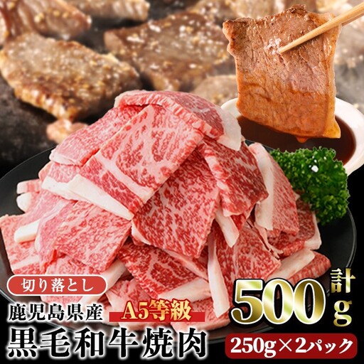 A5 等級 鹿児島県産 黒毛和牛 焼肉 切落し (計500g・250g×2パック) 切り落とし 焼肉 黒毛和牛[LRプラスK]A1004