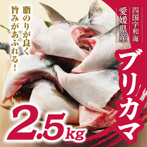 数量限定 ブリカマ 2.5kg