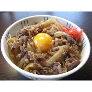 美し国の牛丼　8個セット