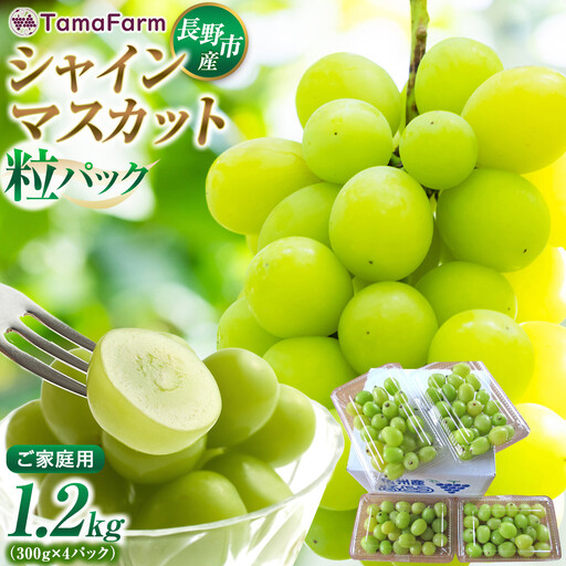 タマファーム　長野市産 シャインマスカット 粒パック ご家庭用 1.2kg（300g×4パック）  | シャインマスカット ぶどう 葡萄 フルーツ