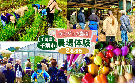 農場体験 タンジョウ農場 ランチ・スイーツ 野菜おみやげ付 農場体験[ペア]