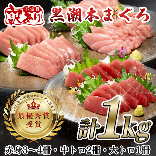 【訳アリ】養殖本マグロ 赤身･中トロ･大トロ 1kg 黒潮本まぐろ 不定貫 刺身 海鮮 産地直送