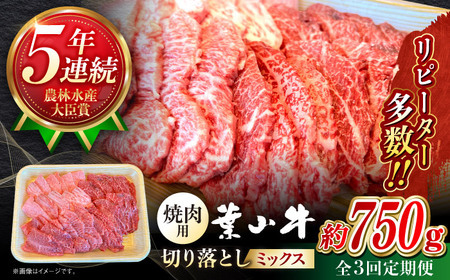 【全3回定期便】葉山牛750g　焼肉用ミックス 牛肉（ロース、モモ、カルビ等） 食べ比べ[ASBD031]