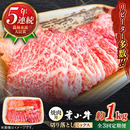 [全3回定期便]葉山牛1kg 焼肉用ミックス 牛肉(ロース、モモ、カルビ等 4種類 ) 食べ比べ[ASBD034]