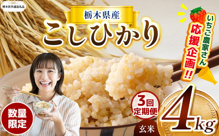 【定期3回】先行予約 令和8年度産 栃木県産こしひかり（玄米）約4kg