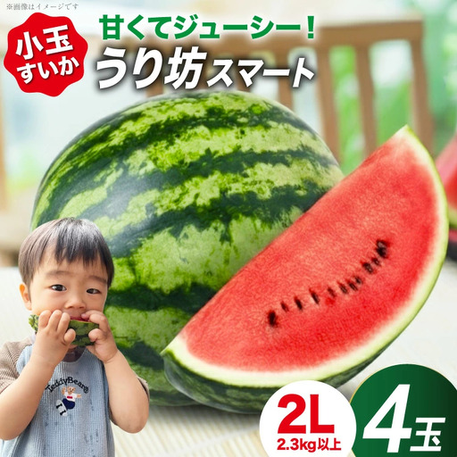[令和9年度出荷分] スイカ うり坊スマート 2Lサイズ(2.3-2.8kg) 4玉