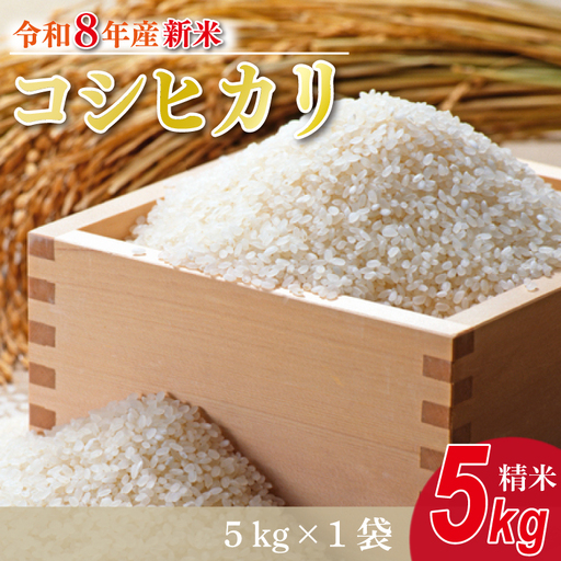 【数量限定】【9月下旬より順次発送】R8年産 コシヒカリ 5kg｜米 お米 白米 精米 R7年産 令和7年産 こしひかり コシヒカリ 茨城県 茨城県産 行方市(HA-24)