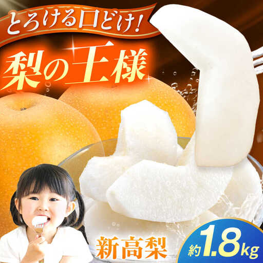 【先行予約】新高梨　約1.8kg 梨 ナシ フルーツ 果物 【日本フルーツ株式会社】[ZFJ063]