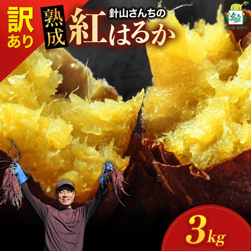 【訳あり】針山さんちのさつまいも 紅はるか 3kg / さつまいも 紅はるか 岡山県 野菜 【ybrf001-02】