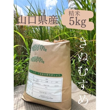 きぬむすめ　精米5kg【1693697】