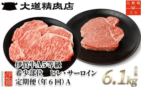 伊賀牛 【年6回偶数月発送】 A5 ヒレ・サーロイン 定期便A 総合計約6.1kg 伊賀牛 【dido-tkb0025】
