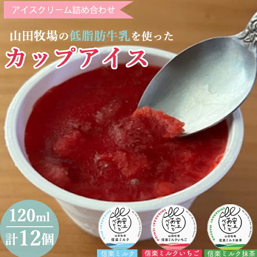 アイスクリーム詰め合わせ12個入り 山田牧場の低脂肪牛乳を使ったカップアイス（プレーン、ストロベリー、抹茶） (184628-40037813)