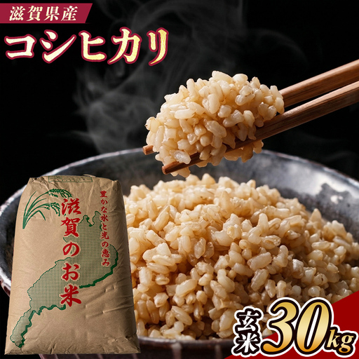 【令和7年産】近江米コシヒカリ玄米30kg (173433-40037819)