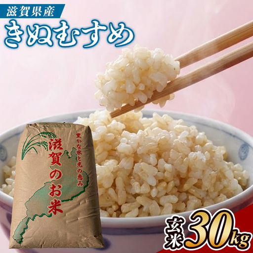 【令和7年産】近江米きぬむすめ玄米30kg (173433-40043425)