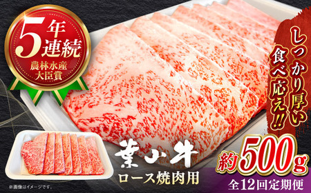 【全12回定期便】【葉山牛】500g　ロース焼肉用／ 牛肉 黒毛和牛 神奈川県 特産品【葉山牛ステーキレストラン 角車】[ASBD056]