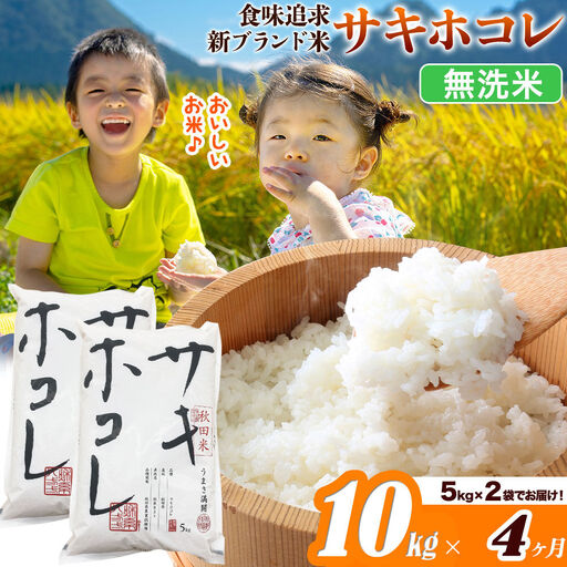 米《定期便4ヶ月》サキホコレ【無洗米】米どころ 秋田県産 令和7年産 10kg（5kg×2袋）大仙市
