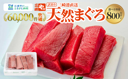 【 訳あり 】 これを選べば間違いなし ！ こだわり の 三崎 天然マグロ 赤身 800g M063-011 【 訳アリ 】 冷凍 マグロ