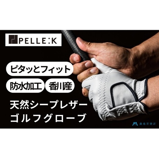 【KURODA】藤巻百貨店別注ゴルフグローブ（全天候型） ファッション小物  ブラック　25cm