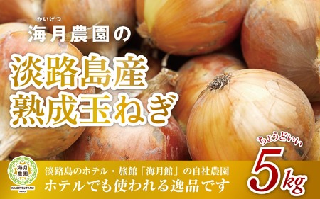 海月館 自社農場栽培！淡路島産 玉ねぎ 5kg