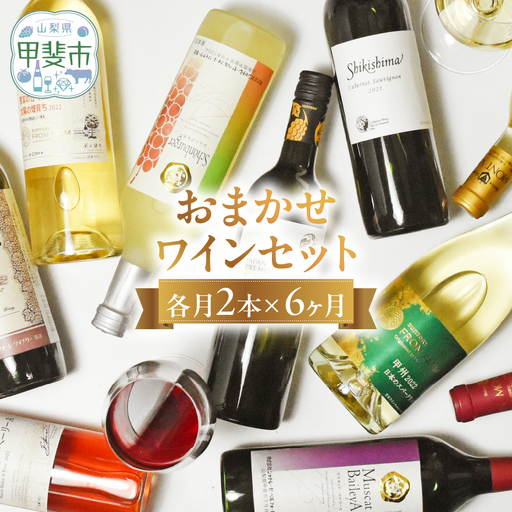 甲斐市産 おまかせワイン各月2本×6か月 計12本定期便 AD-319