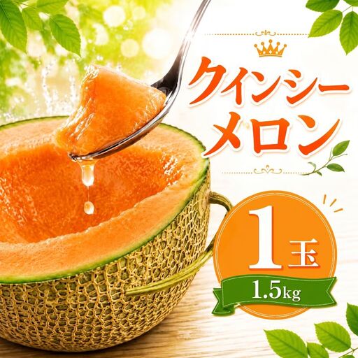 【2027年発送】 クインシーメロン 1玉 1.5kg前後 赤肉メロン