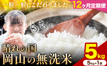 [12ヶ月定期便]晴れの国岡山の無洗米 5kg 無洗