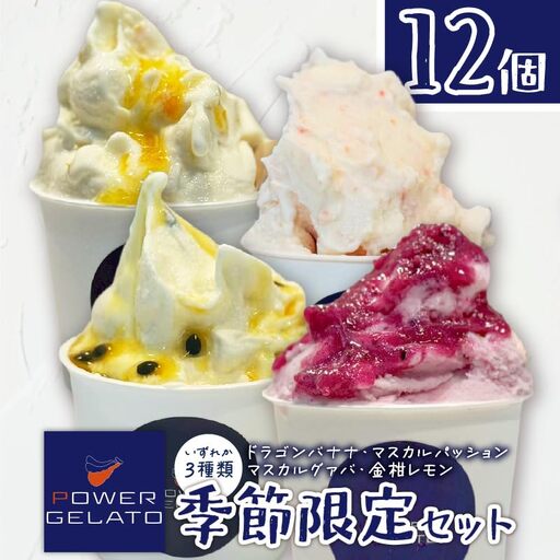 POWER GELATO（ 季節限定セット 12個入り ） C073-003-02 冷凍 菓子 お菓子 スイーツ