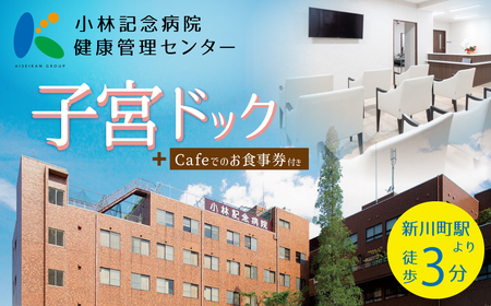 小林記念病院子宮ドック 利用券 1名様分 子宮 卵巣 MRI 子宮頸部細胞診 HPV ヒトパピローマウイルス 子宮内膜症 女性 券 チケット ギフト 贈り物 愛知県 碧南市
