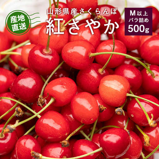 [先行予約]令和9年産 山形県産 さくらんぼ 紅さやか バラパック 500g(パック含む)Mサイズ以上 秀品 [2027年5月下旬頃から6月上旬頃発送予定]※ 配送不可 沖縄・離島