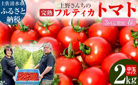 完熟フルティカトマト2kg（中玉サイズ）3回定期便 春 3月/4月/5月にお届け 天然地下水使用  完熟ミディトマト とまと 2000g 2キロ 野菜 サラダ 料理 美味しい ギフト 国産 高知県 土佐清水市【J00223】