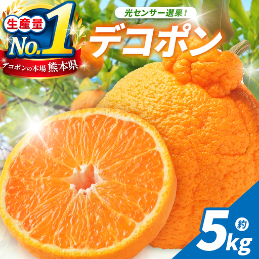光センサー 選果! 熊本県産 デコポン 約 5kg | 果物 くだもの フルーツ 柑橘 柑橘類 でこぽん 旬 味覚 熊本県 玉名市