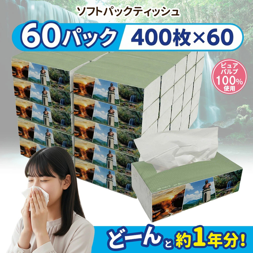 ソフトパックティッシュ ピュアパルプ 60パック×400枚 200組 最大3ヶ月以内出荷 柔らか コンパクト 日用品 必需品 まとめ買い 常備品 備蓄 防災グッズ 熊本県 小国町 観光スポット紹介 オリジナル 常温配送
