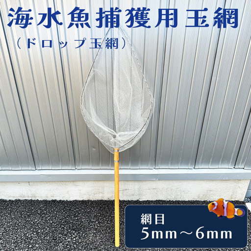 海水魚捕獲用玉網(ドロップ玉網)BL-D-5T No.579