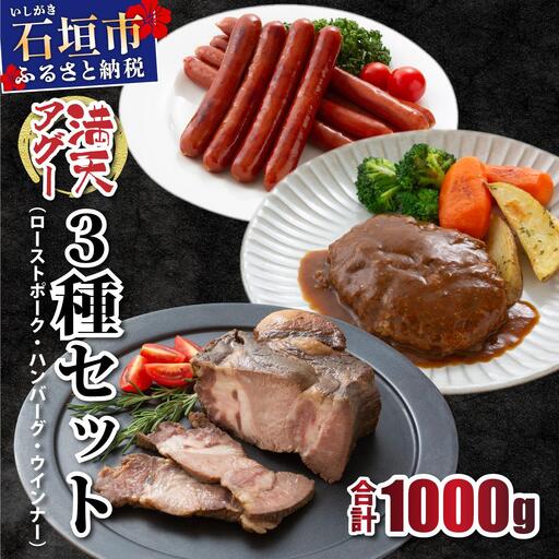 満天アグー ローストポーク 300g ハンバーグ 150g×2 ウインナー 200g×2