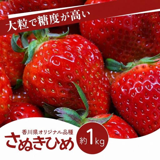 いちご さぬきひめ 大粒 香川県産 いちご【1kg】 【46312762】◆