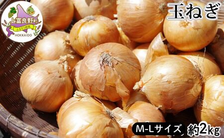 玉ねぎ 野菜 北海道産 玉ねぎ[約2kg M〜Lサイズ]