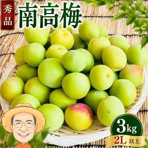 南高梅 青梅 約3kg (+補償100g) [秀品]2L以上 カキエモン農園 [BX-kkem009A]