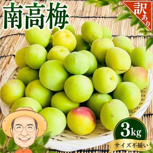 南高梅 青梅 約3kg (+補償100g)[訳あり] サイズ不揃い カキエモン農園[BX-kkem012A]