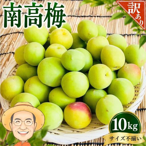 南高梅 青梅 約10kg (＋補償100g)【訳あり】 サイズ不揃い カキエモン農園【BX-kkem014A】